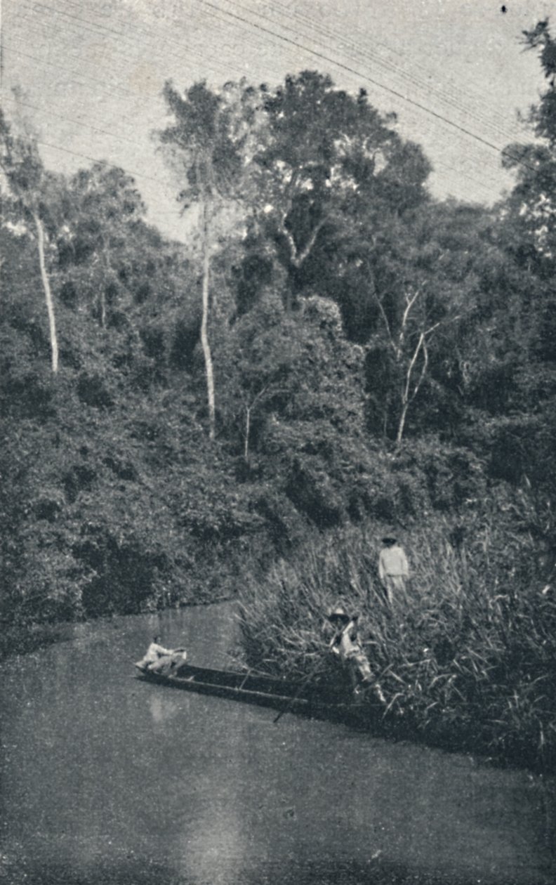 S. Anastacio Nehri, 1895 by Francisco Henszler