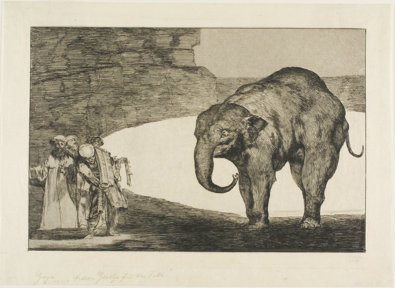 Farklılıklardan Hayvan Deliliği by Francisco Jose de Goya y Lucientes