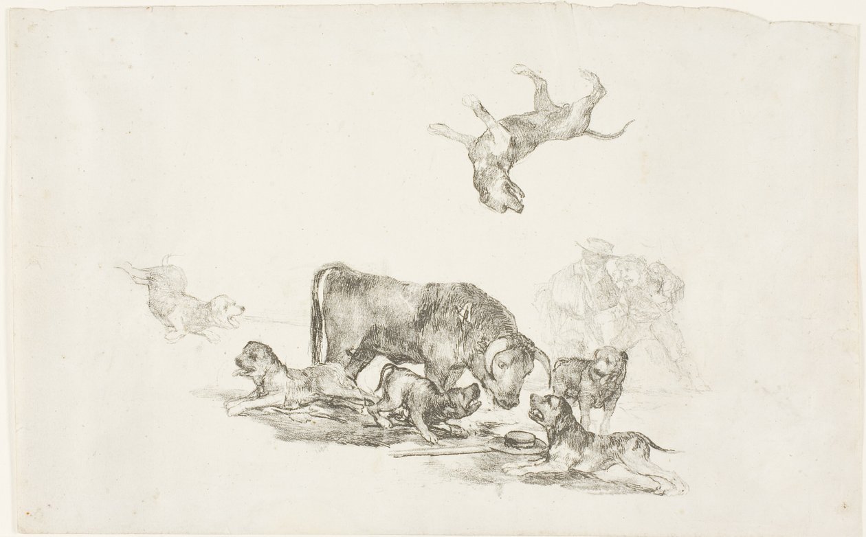 Köpeklerin Saldırdığı Boğa by Francisco Jose de Goya y Lucientes