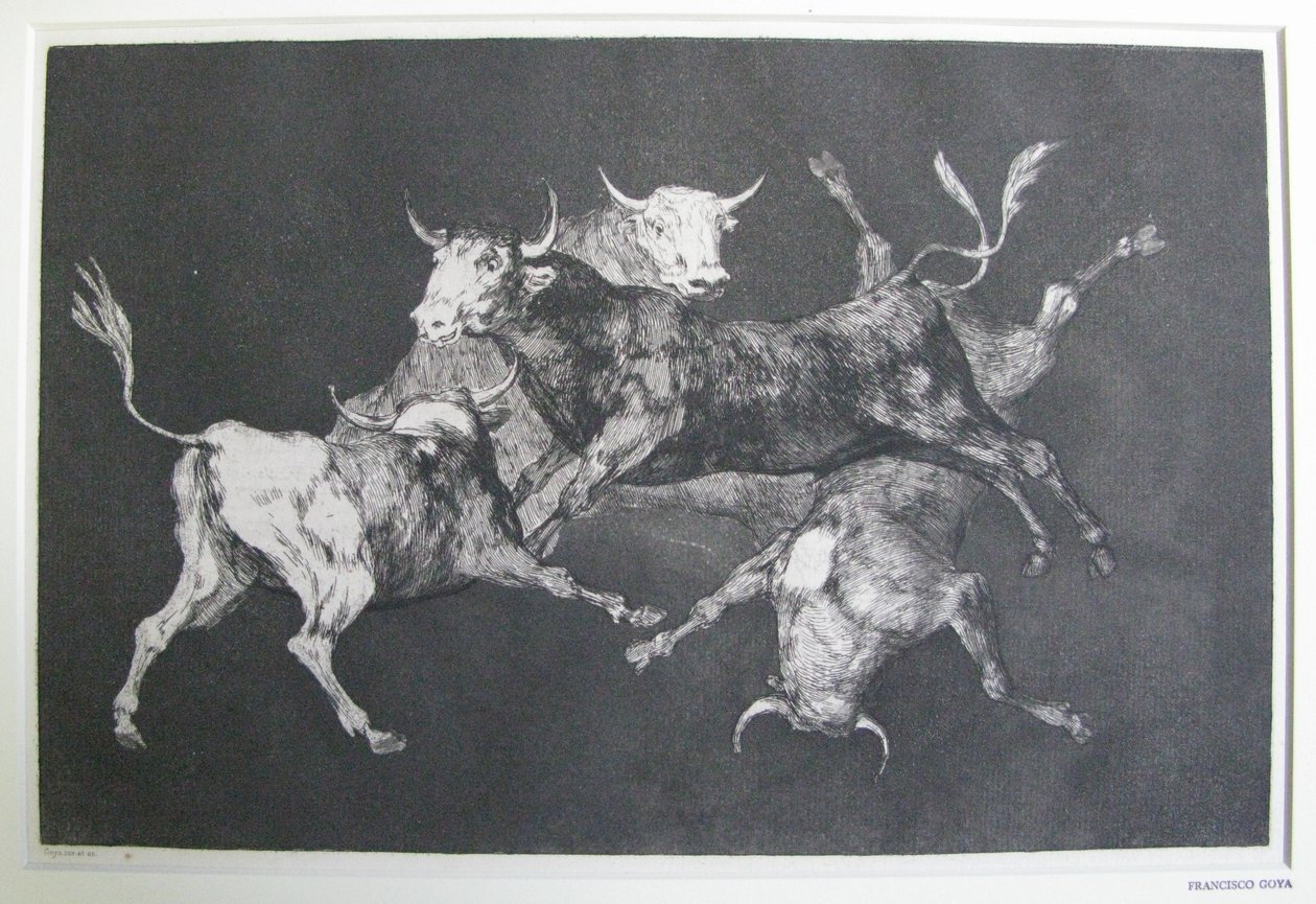 aptalın aptallığı by Francisco Jose de Goya y Lucientes