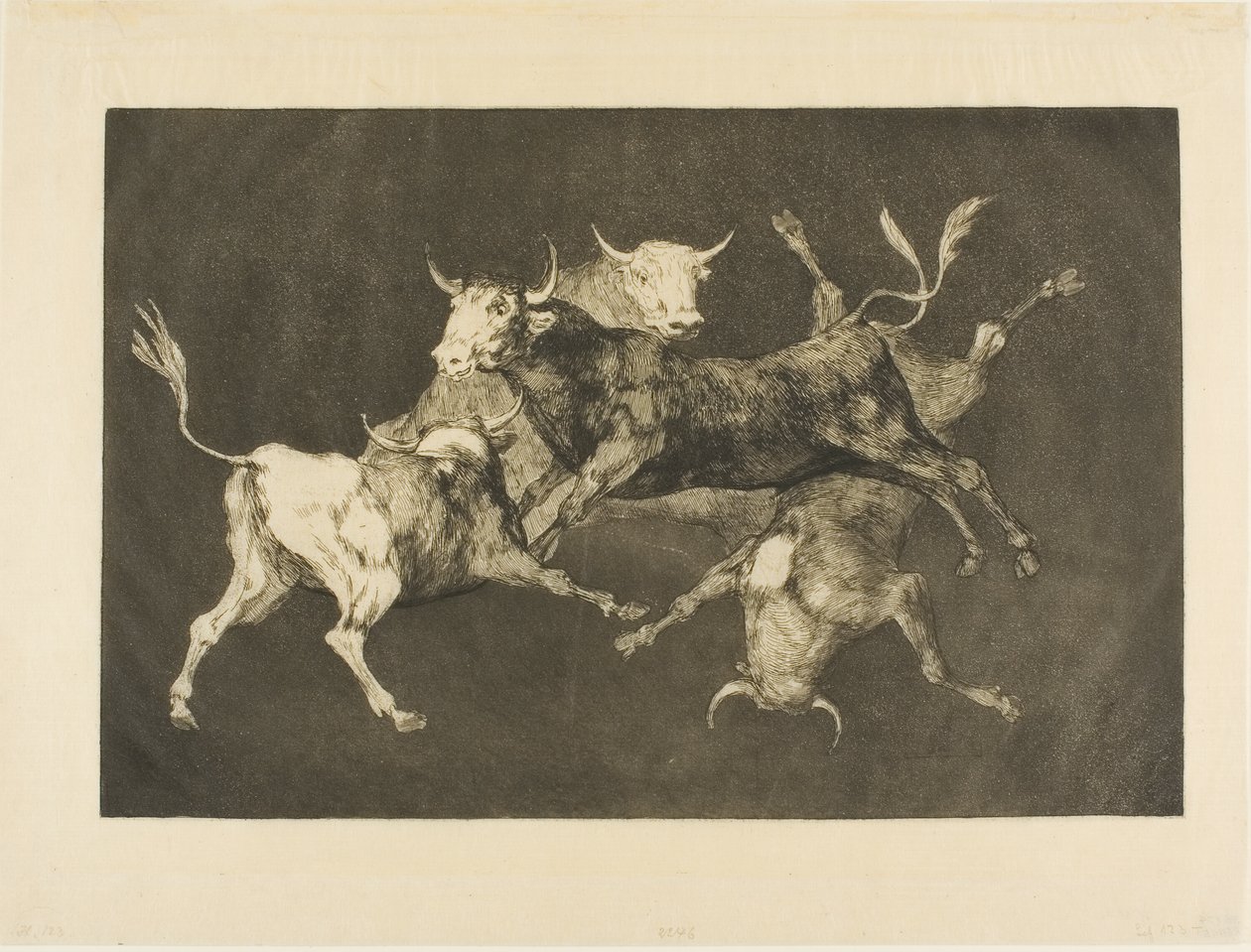 Aptalın Deliliği, Farklılıklardan by Francisco Jose de Goya y Lucientes