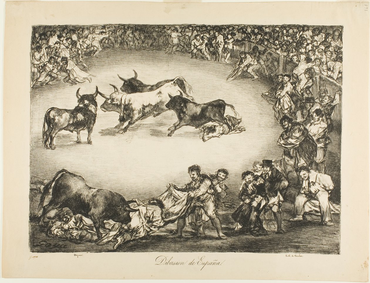 The Bulls of Bordeaux