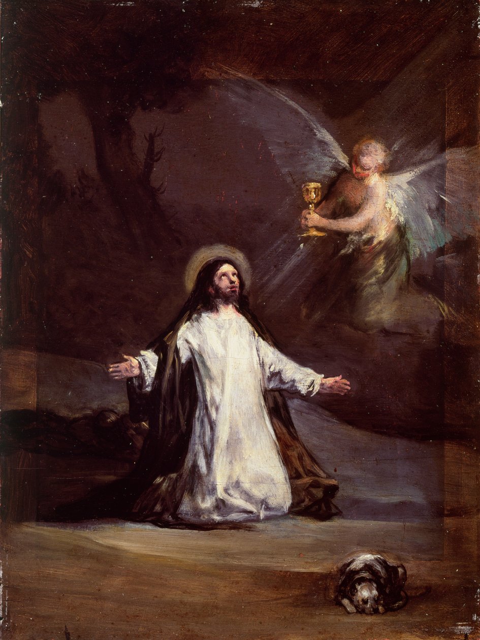 Bilinmeyen resim by Francisco de Goya