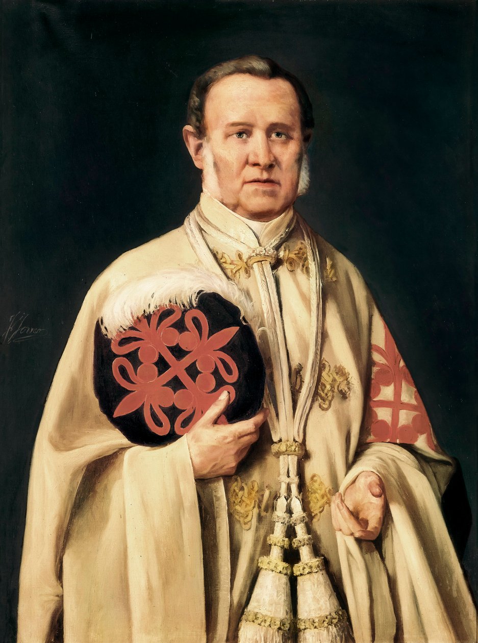 " Viluma Markisinin portresi, İspanyol askeri ve siyasi asilzadesi" c.1850 (tuval üzerine yağlı boya) by Francisco Jover y Casanova