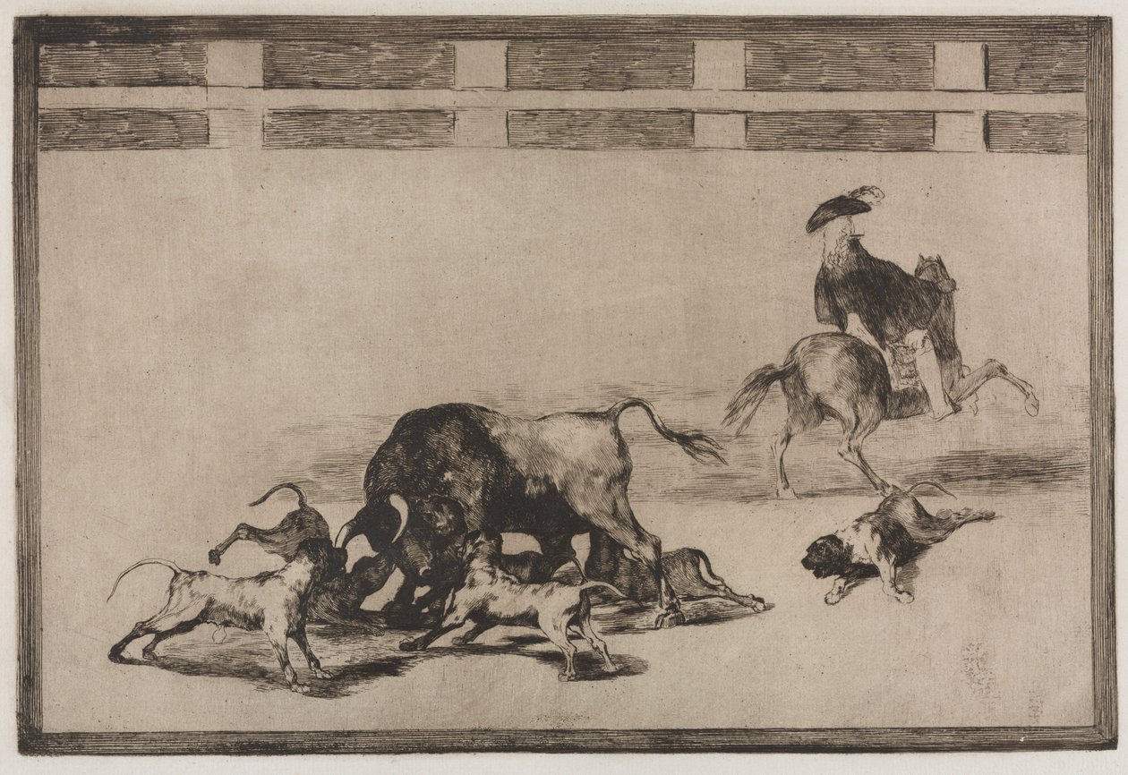 Boğa Güreşi: Köpekleri Boğa Üzerinde Gevşetirler by Francisco de Goya