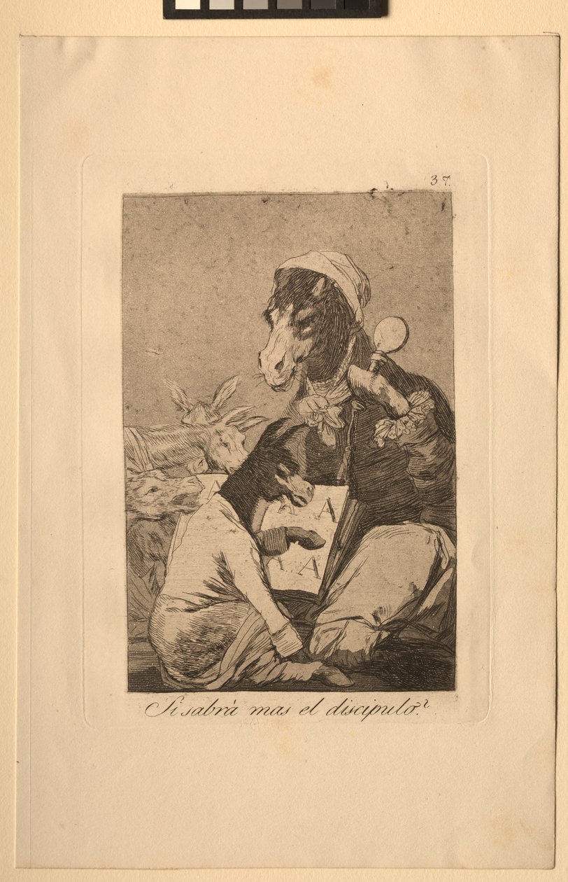 Kaprisler: Öğrenci Daha Fazla Bilmiyor Olabilir. by Francisco de Goya