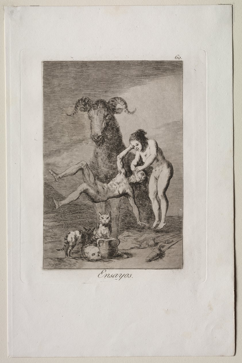 Caprichos: Denemeler by Francisco de Goya