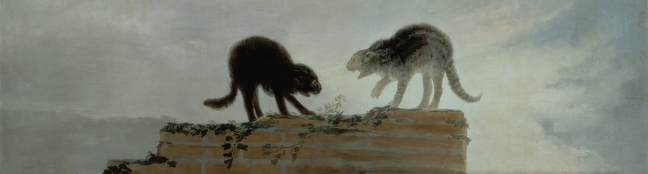 kavga eden kediler by Francisco de Goya