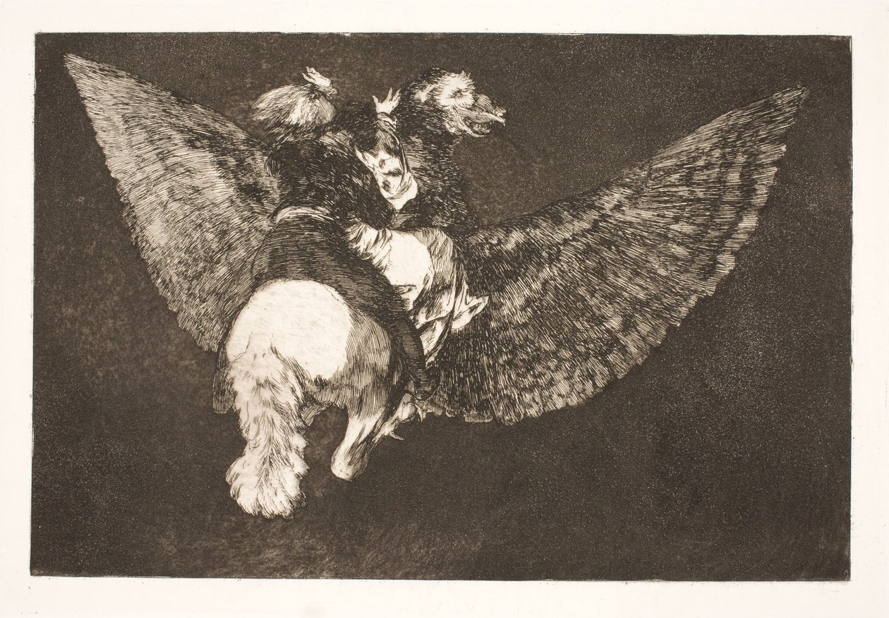 Uçan Aptallık (Seni kanatlarının altına saklayan ve gagasıyla ısıran arkadaştan vazgeç) by Francisco de Goya