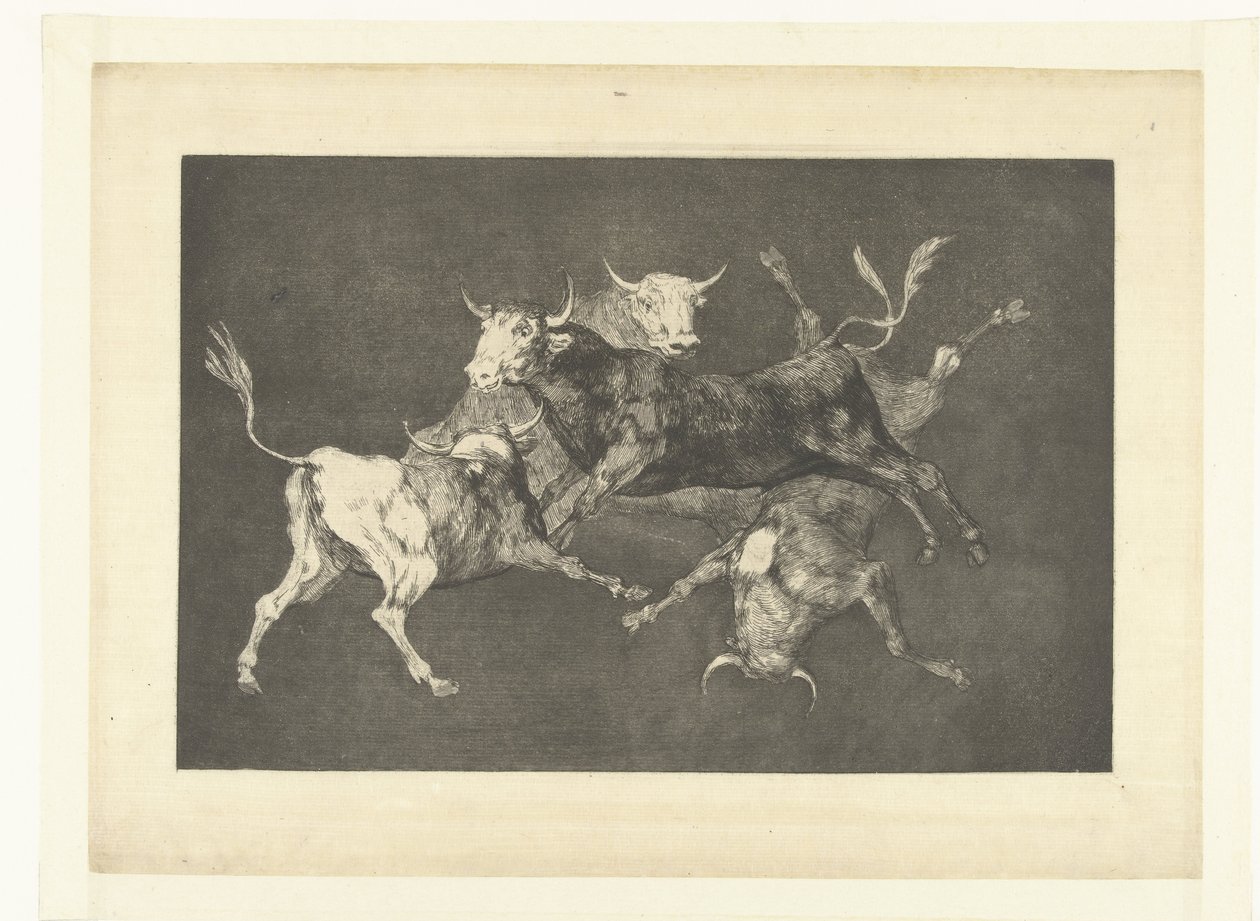 Küçük Boğaların Aptallığı Farklı özellikler Los Disparates (Çılgınlıklar) (dizi adı) Los Proverbios (Atasözleri) (dizi başlığı) by Francisco de Goya