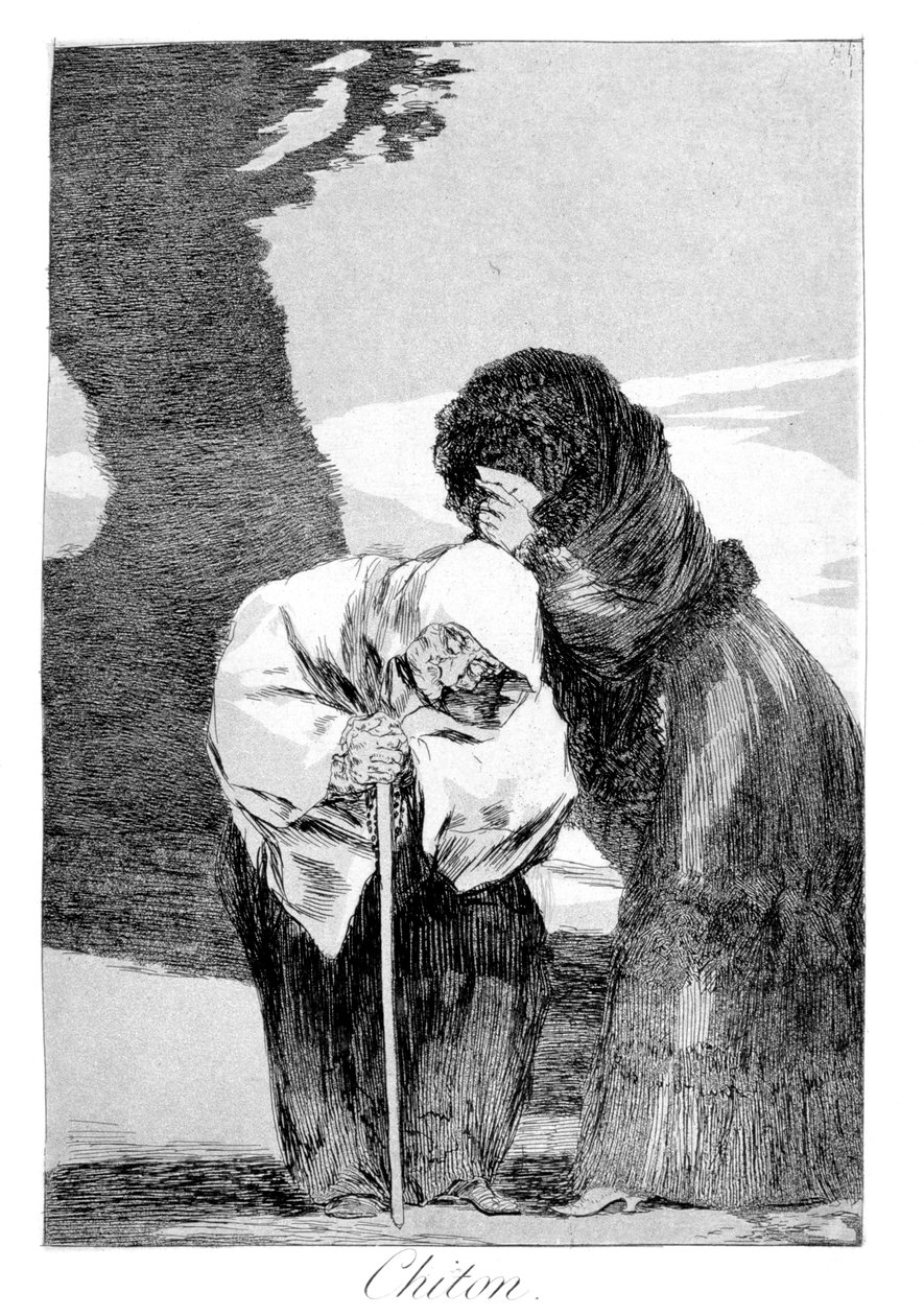 sus, 1799 by Francisco de Goya