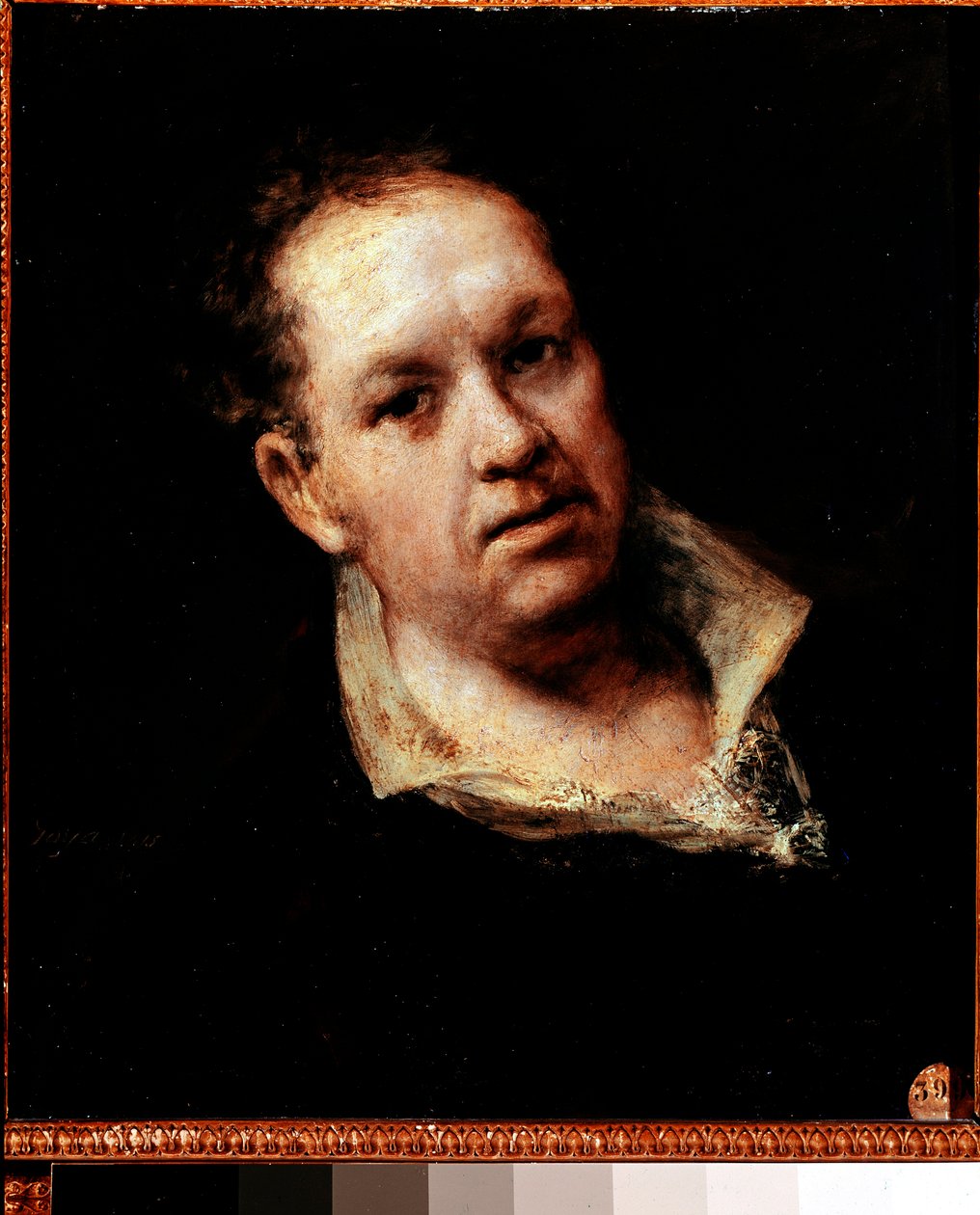 Otoportre. Francisco de Goya