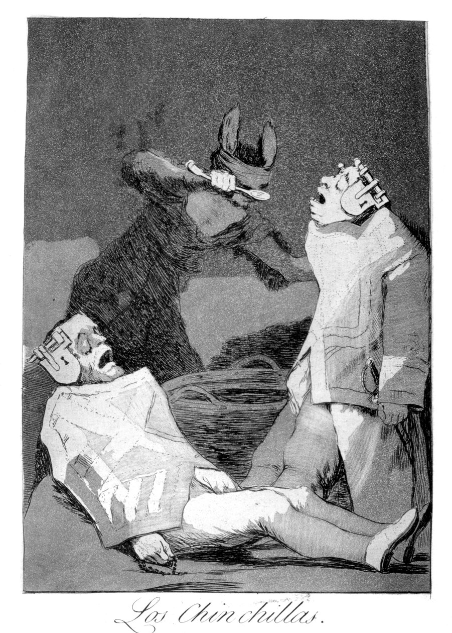 Şinşillalar, 1799 by Francisco de Goya