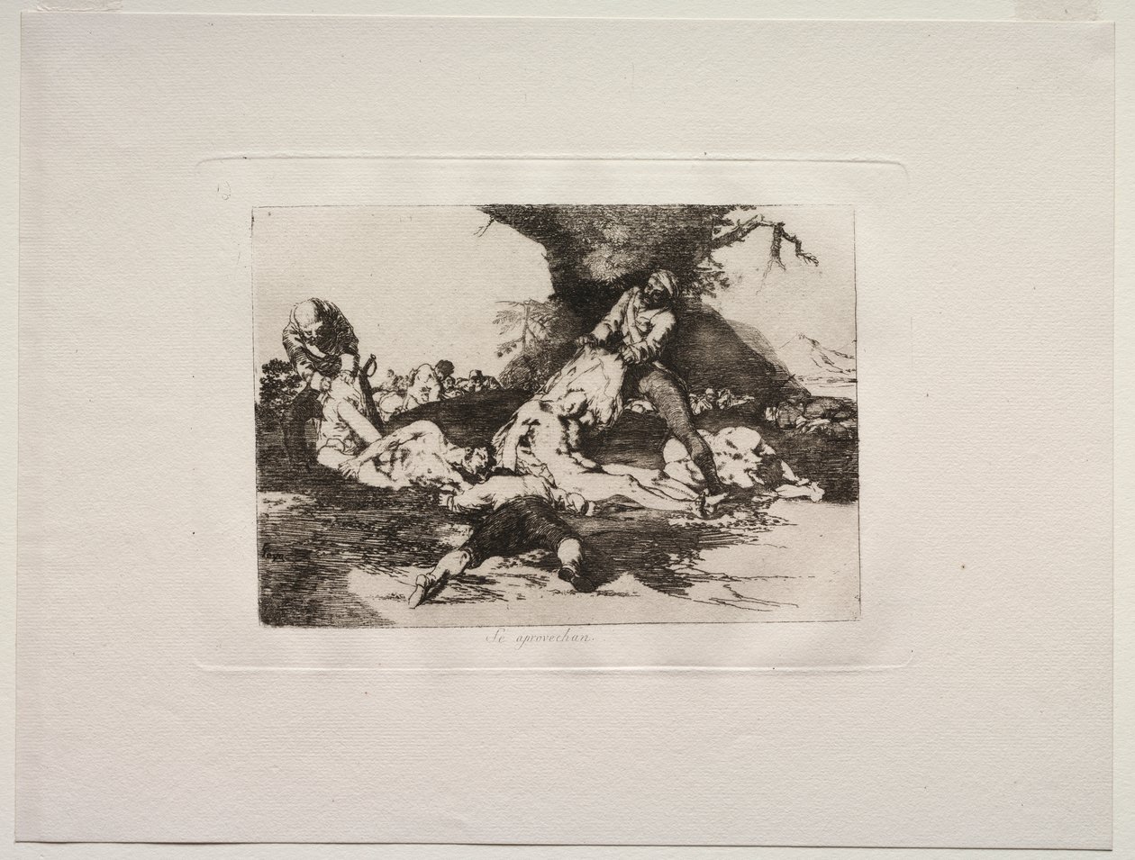 Savaşın Korkuları: Onlardan Yararlanıyorlar by Francisco de Goya