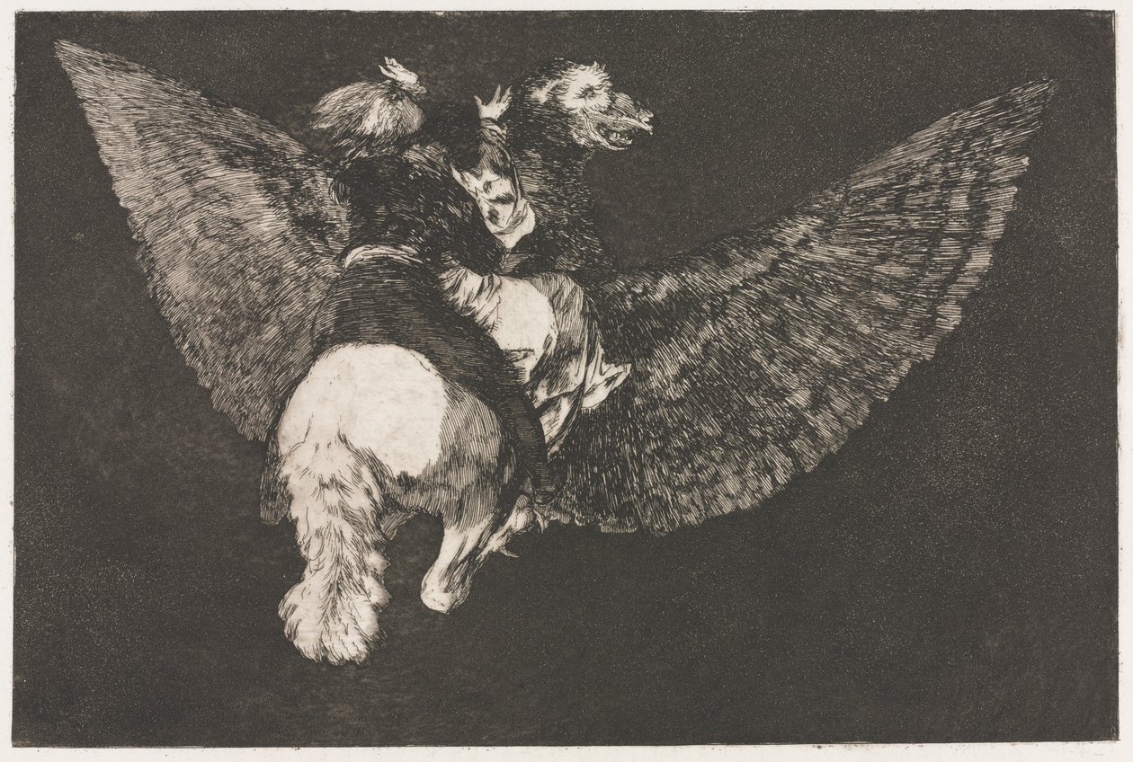 Atasözleri: Uçan Delilik by Francisco de Goya