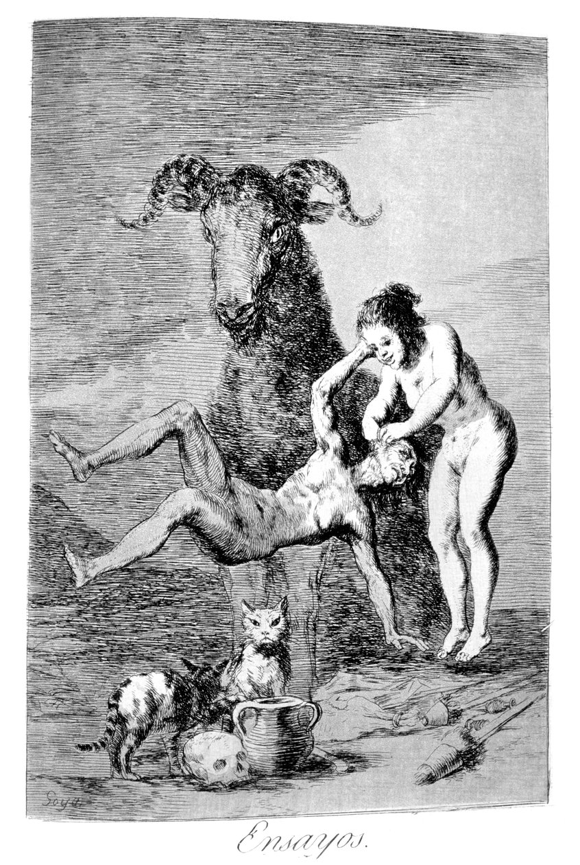 Denemeler, 1799 by Francisco de Goya