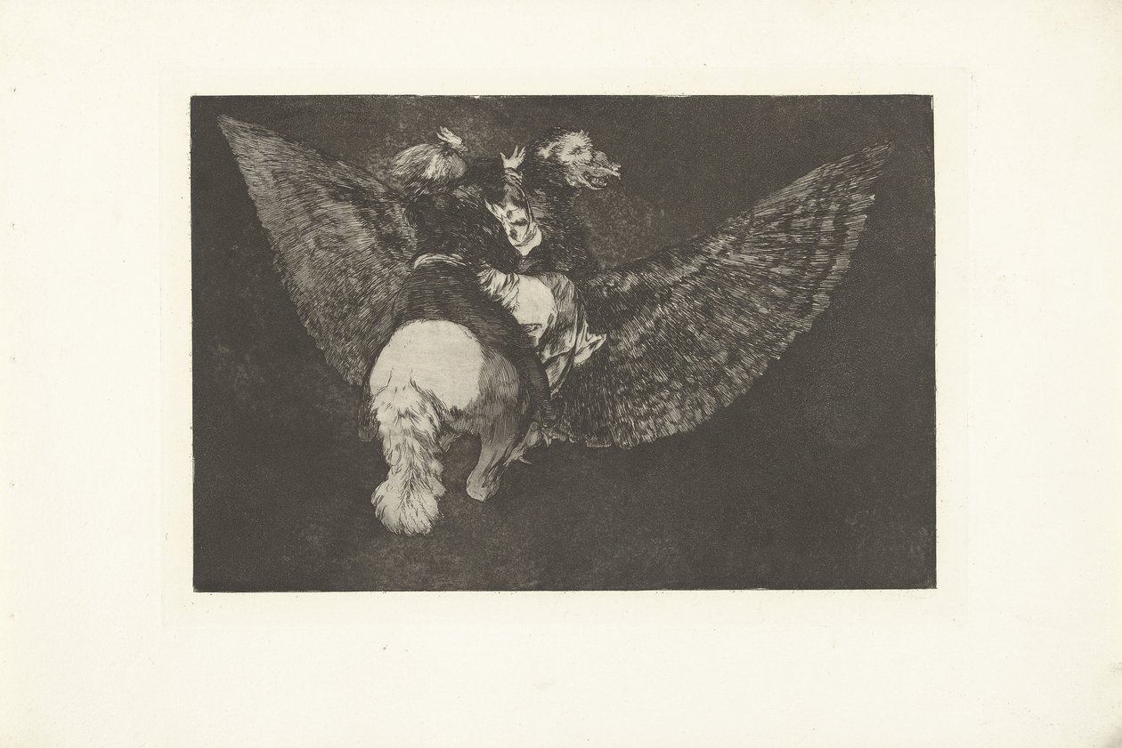 uçan çılgınlık farklı volante Los Disparates (Çılgınlıklar) (dizi adı) Los Proverbios (Atasözleri) (dizi başlığı) by Francisco de Goya