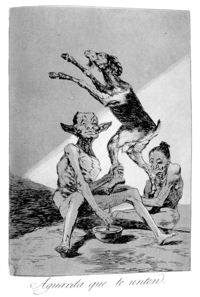 meshedilene kadar bekle, 1799 by Francisco de Goya