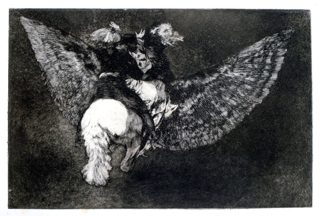Kanatlı Saçma, 1819-1823 by Francisco de Goya