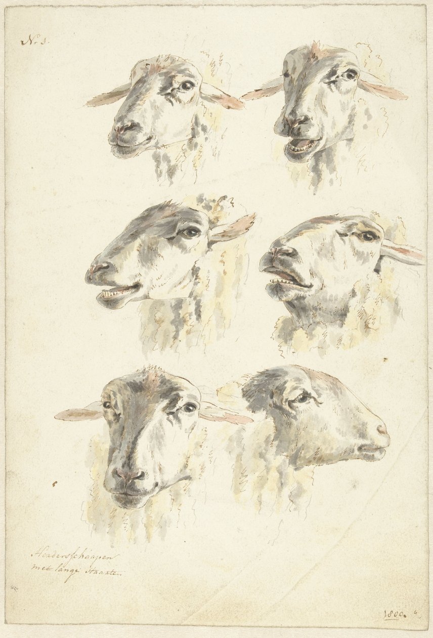 Altı koyun başlı çalışma sayfası by Franciscus Andreas Milatz (attributed to)