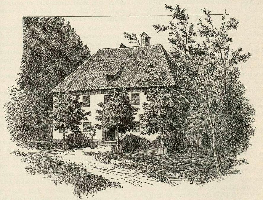 Mali vasin