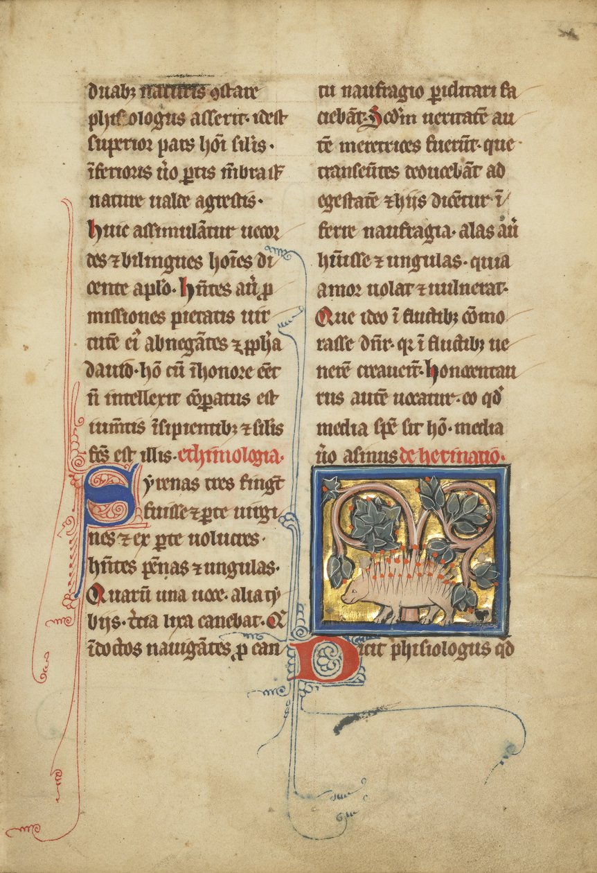 Bir bestiary