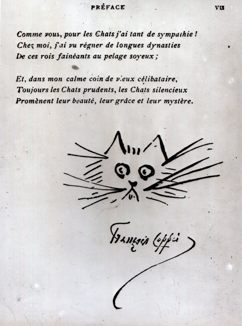 Kedinin başı, Francois Coppee