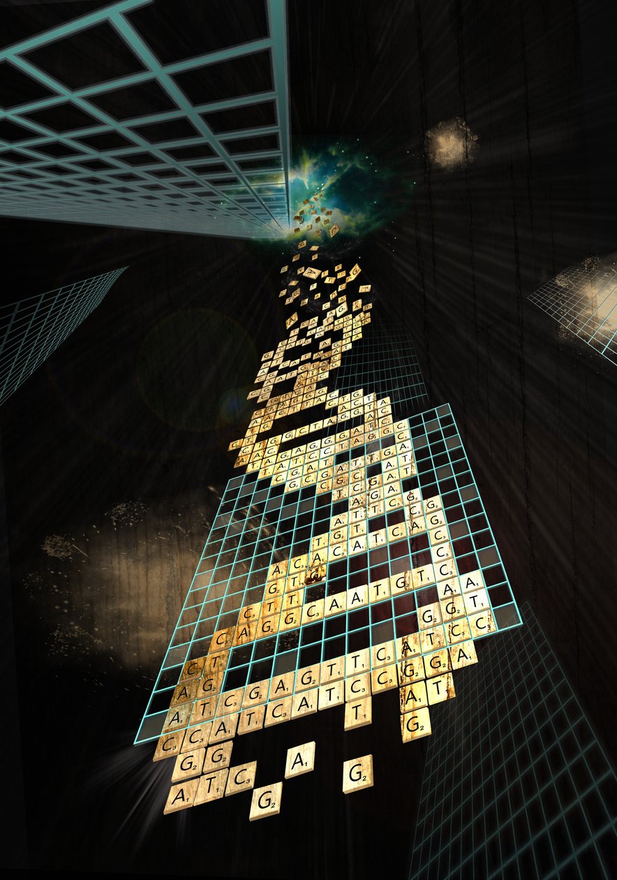 Tanrı zar atmaz, 2014 (dijital) by Francois Domain