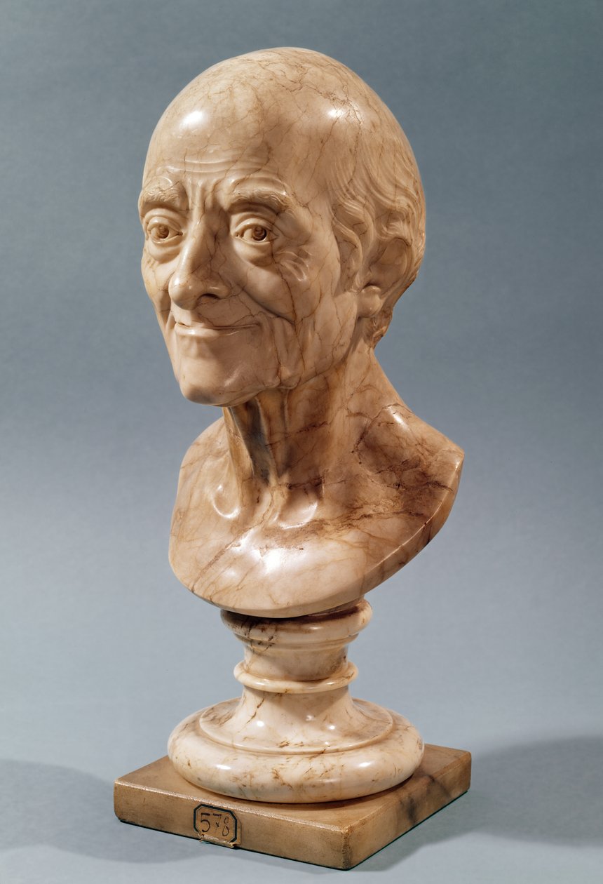 Voltaire Büstü (1694-1778) (mermer) by Francois Marie Rosset