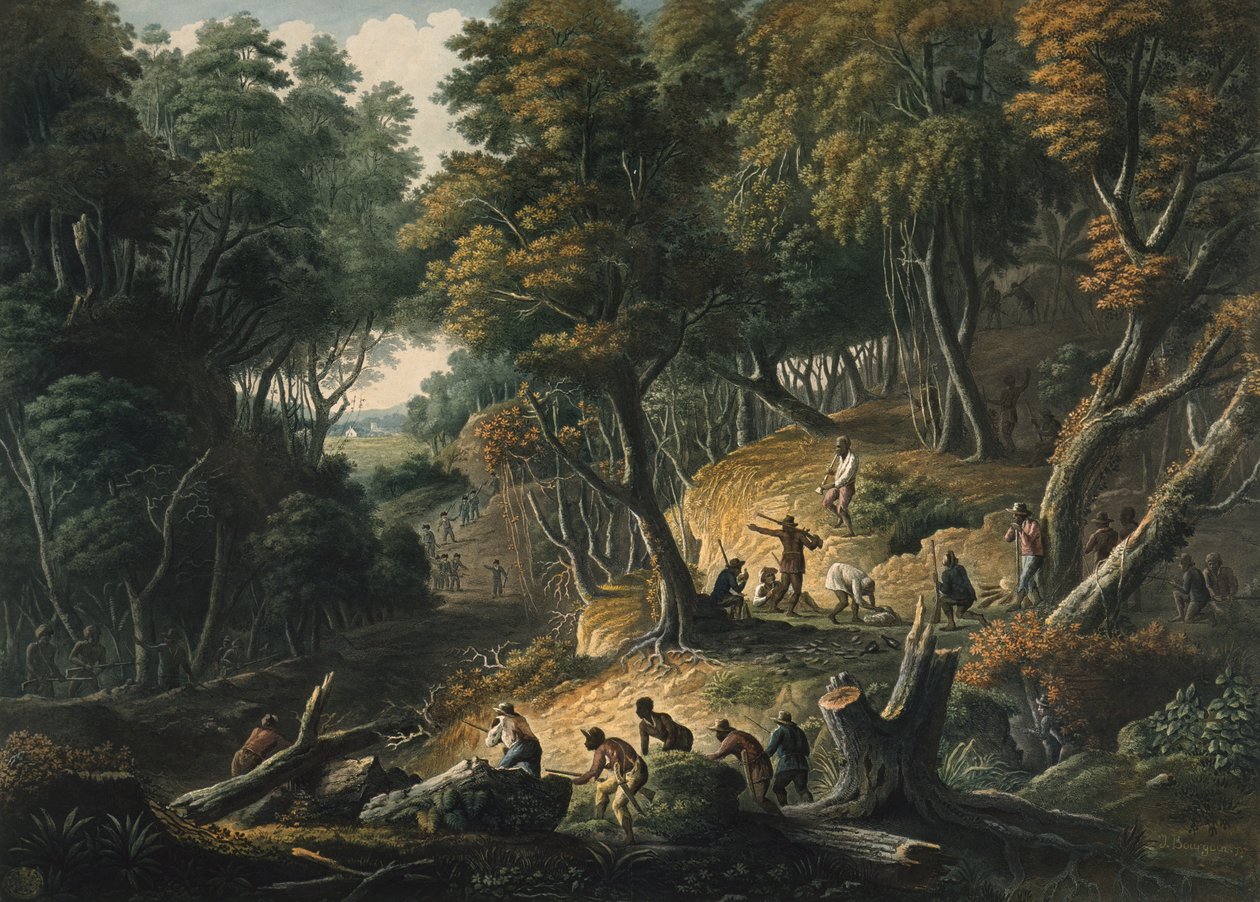 Maroons, Trelawney, Jamaika, pub