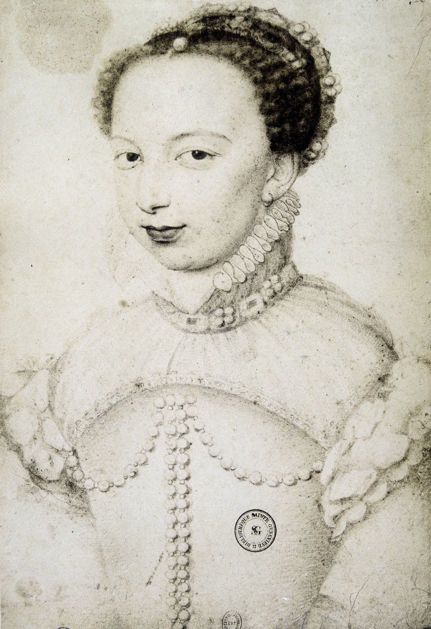 Kraliçe Margot (1553-1615), Navarre Kraliçesi, IV. Henry