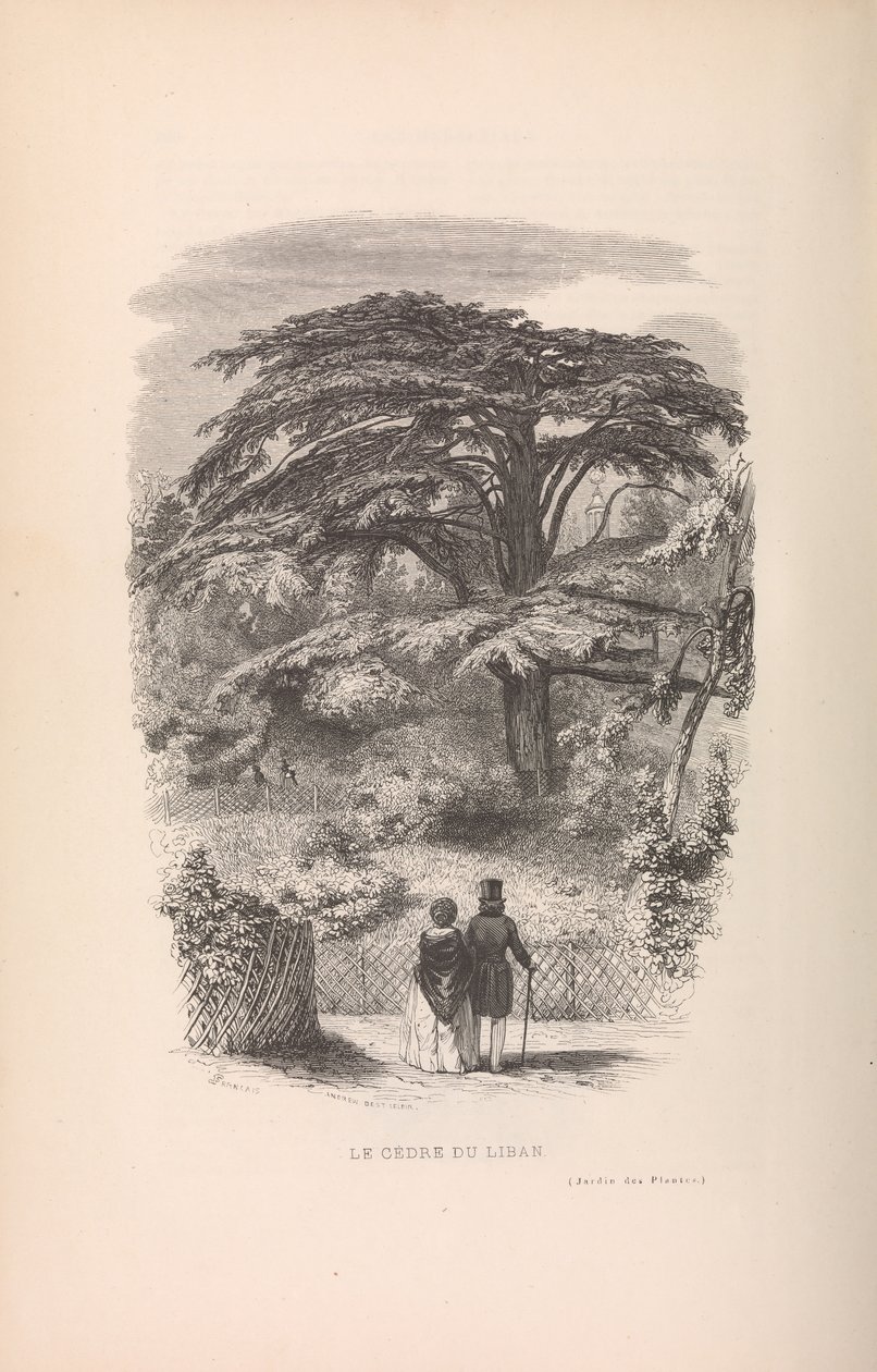 Botanik Bahçesi, Memelilerin Tanımları ve Davranışları, 1842. by Francois Boitard