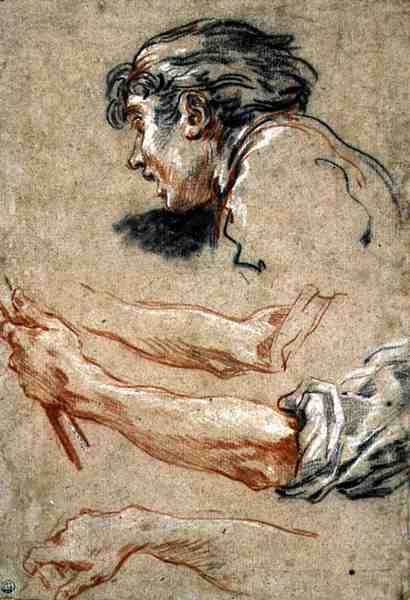 Bir Çocuğun Başı (kağıt üzerinde tebeşir) by François Boucher