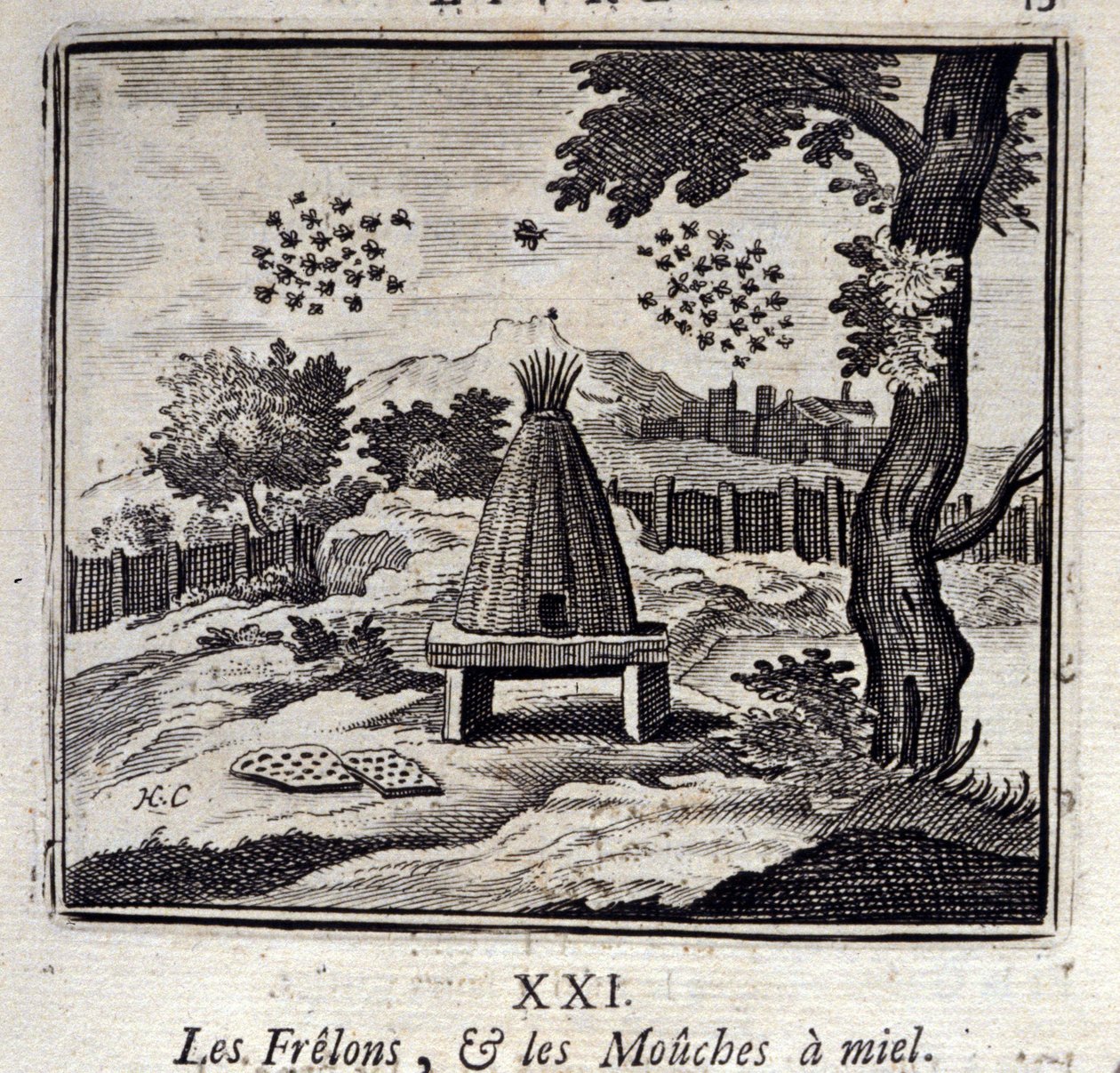 Hornetler ve bal sinekleri. Jean de La Fontaine
