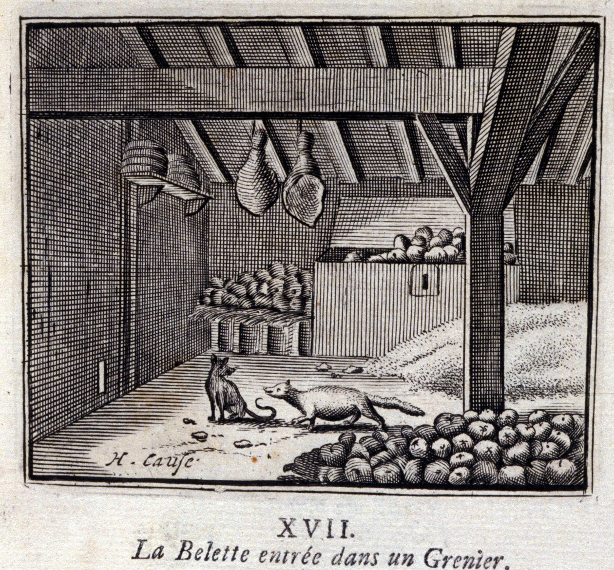 La Weasette bir Grenier