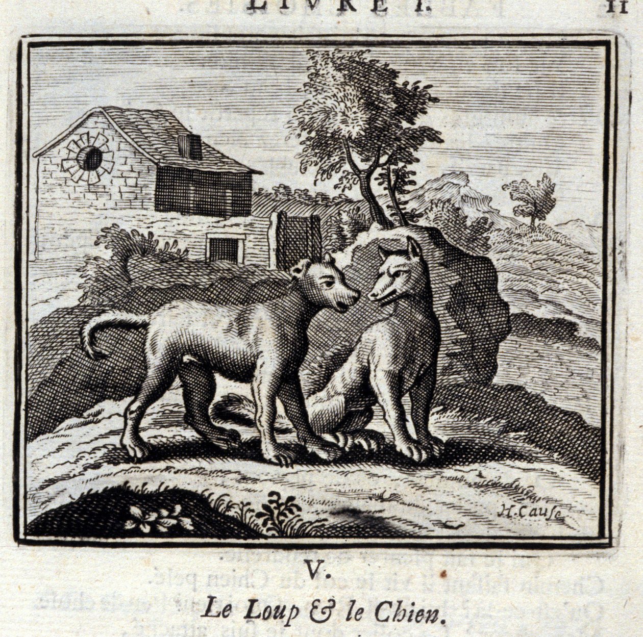 Kurt ve Köpek, Jean de La Fontaine