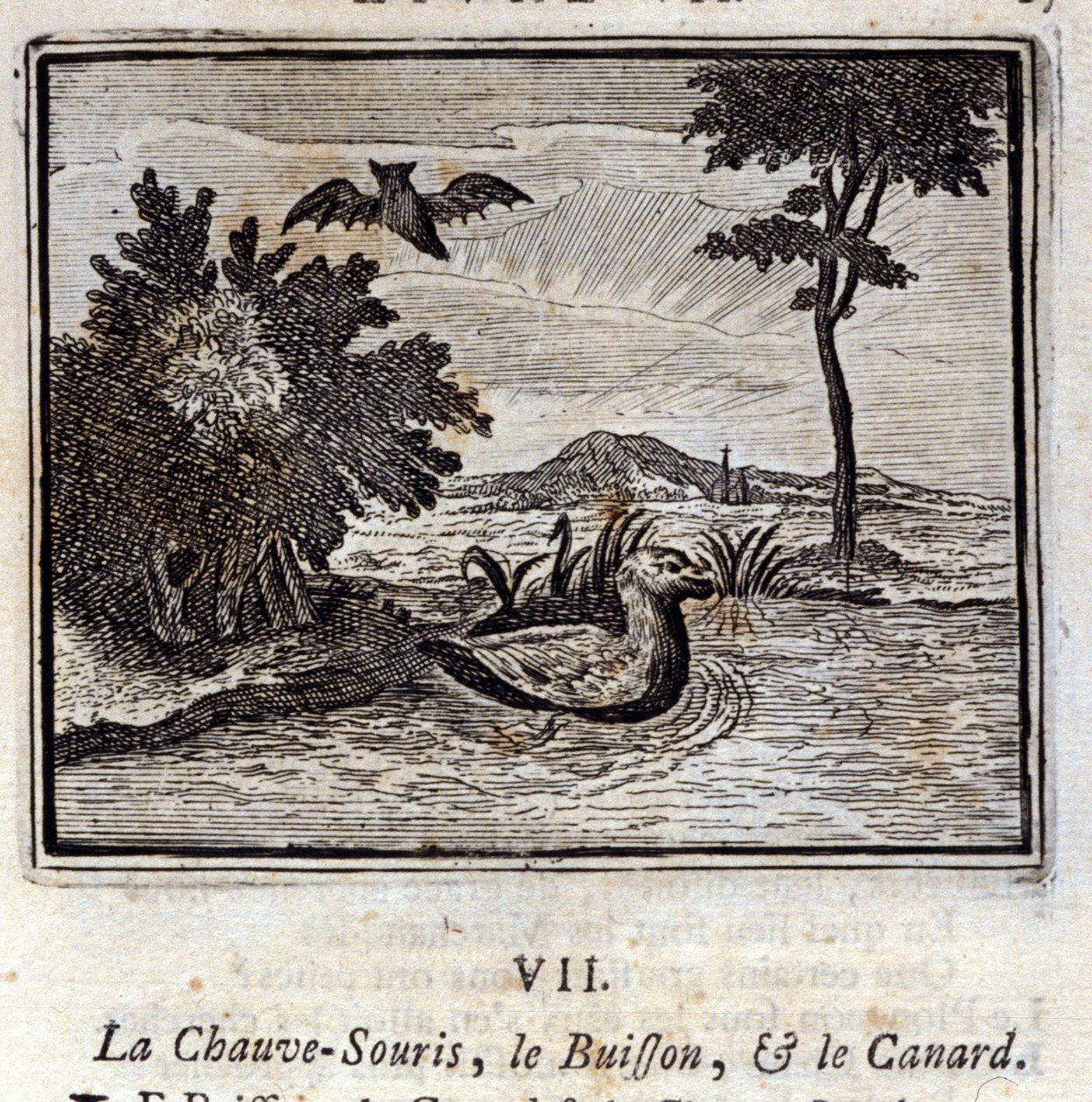 Yarasa, Çalı ve Ördek. Jean de La Fontaine'in (1621-95) Masalları. François Chauveau'nun çizimi (1613-1676). 1728 baskısı. by Francois Chauveau