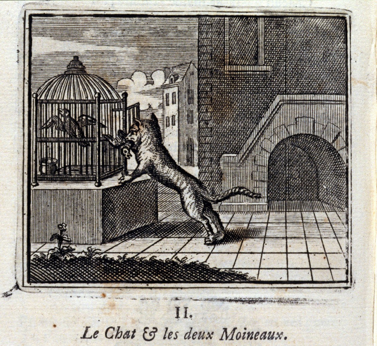 Kedi ve İki Serçe. Jean de La Fontaine