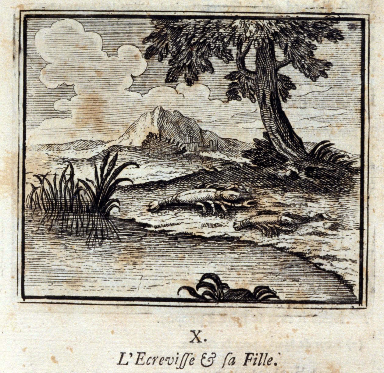 Crevisse ve kızı. Jean de La Fontaine