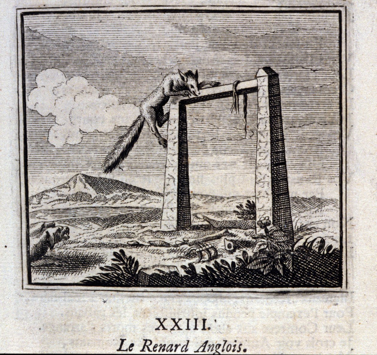 İngiliz Tilkisi. Jean de La Fontaine