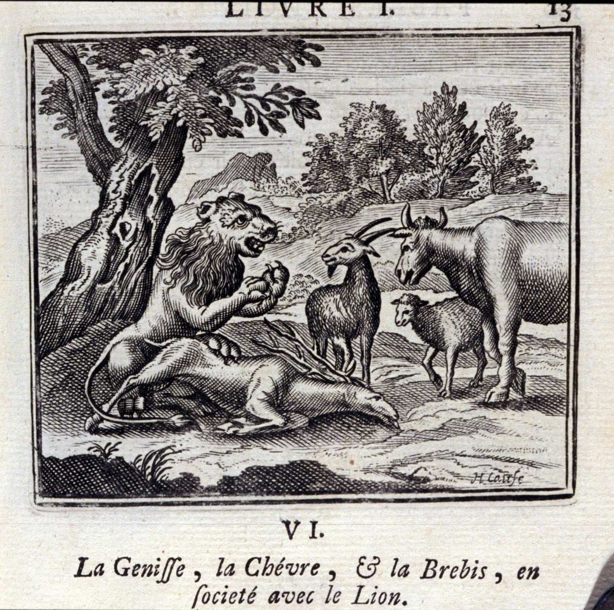 Aslan ile toplumda Gove ve Koyun Genisse. Jean de La Fontaine
