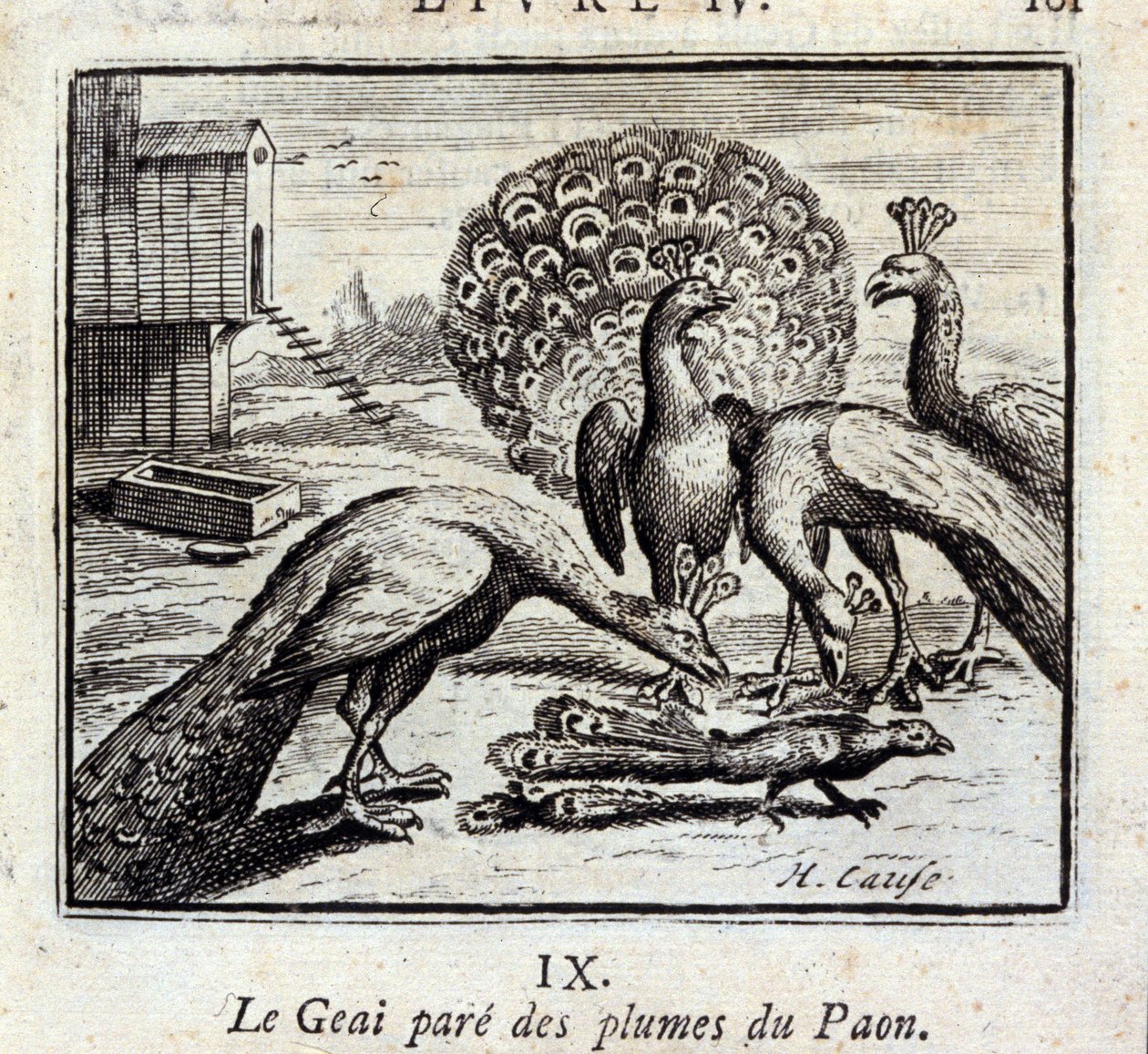 Jay tavus kuşu tüylerini süslüyor. Jean de La Fontaine