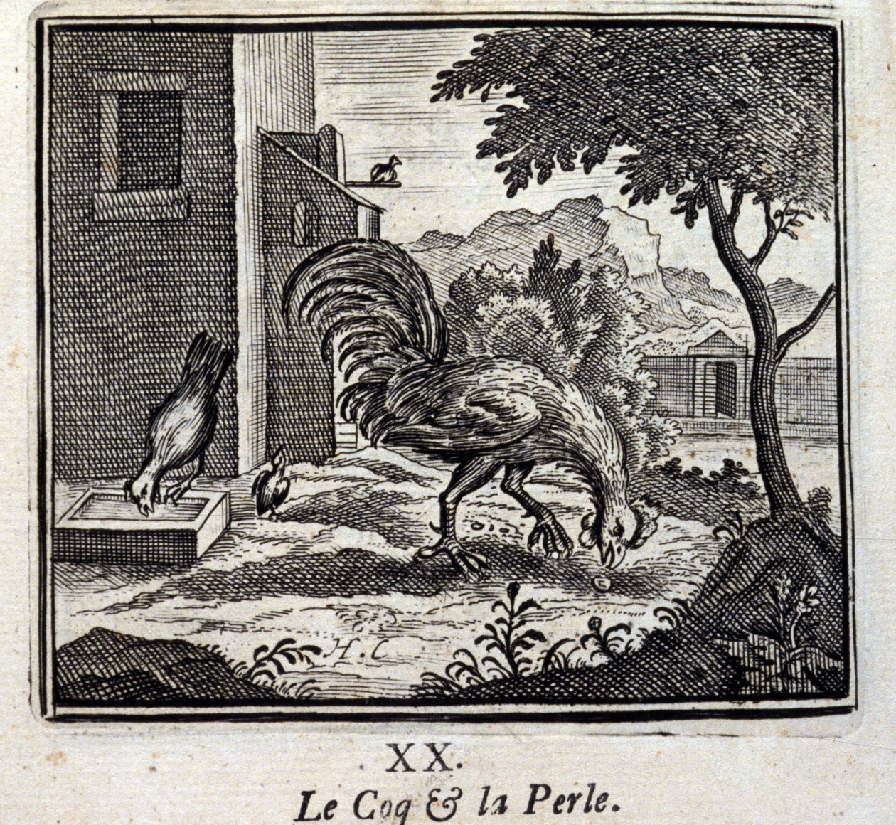 Horoz ve İnci. Jean de La Fontaine