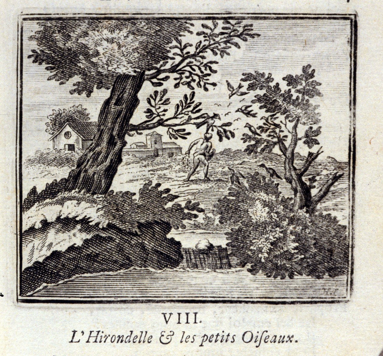 Kırlangıç ve küçük kuşlar. Jean de La Fontaine