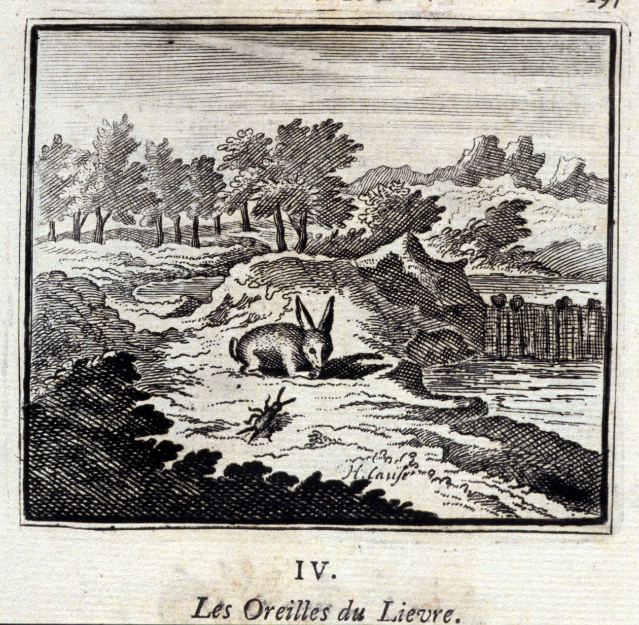 Lievre kulaklar. Jean de La Fontaine
