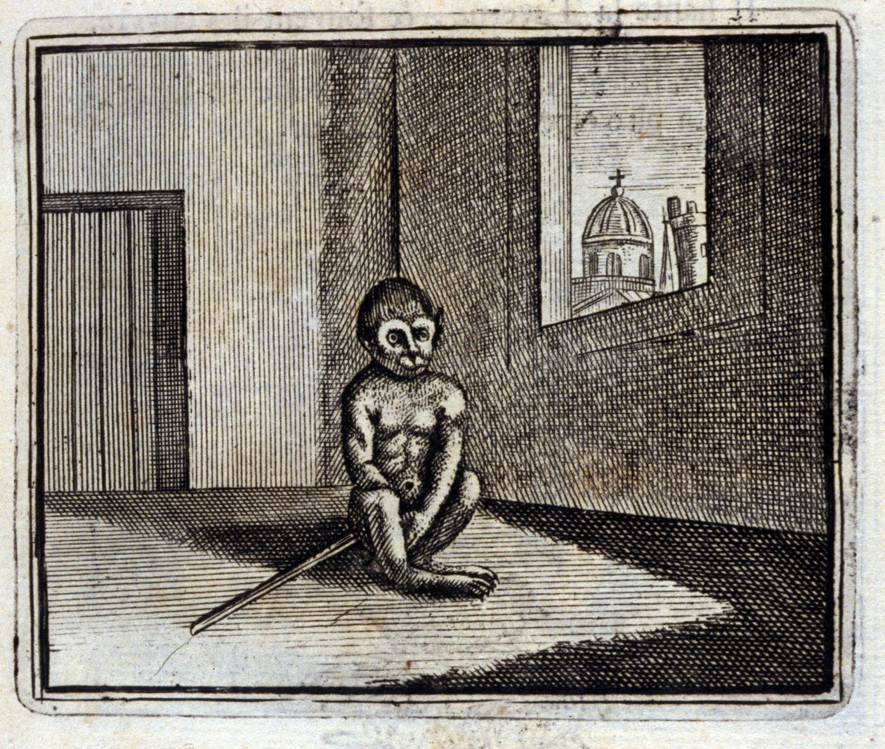 Maymun. Jean de La Fontaine