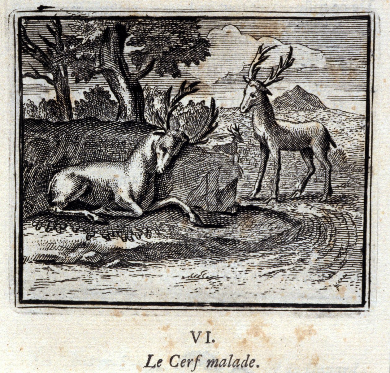 Tilki, Kurt ve At. Jean de La Fontaine
