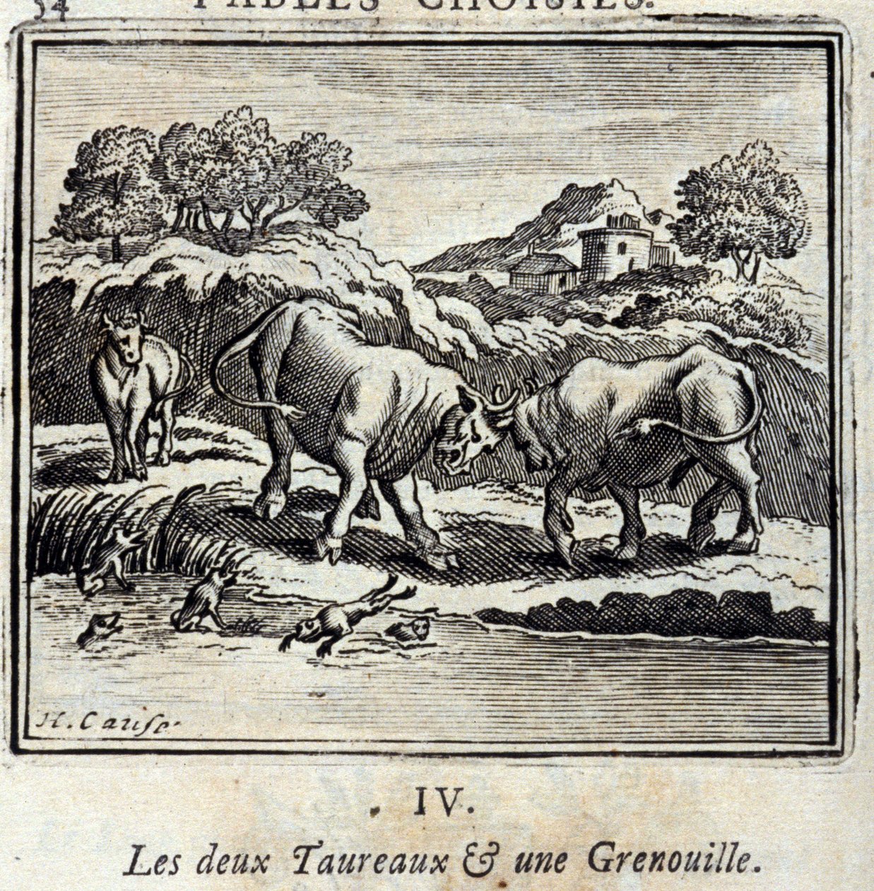 İki Boğa ve bir Kurbağa. Jean de La Fontaine
