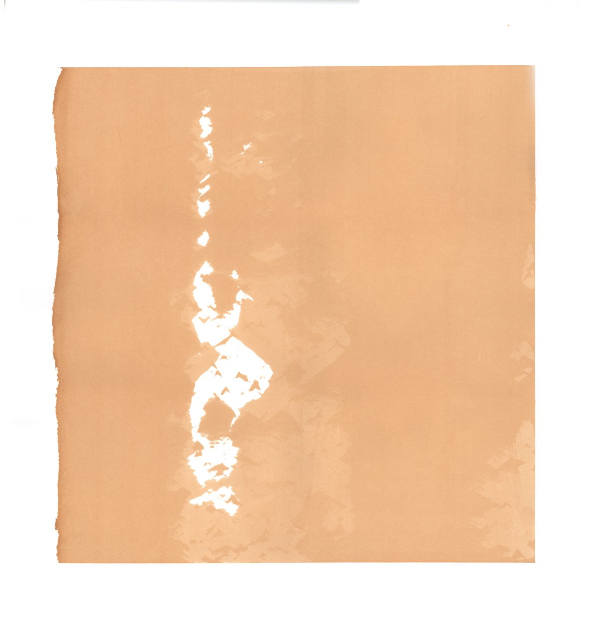 Semazen, 2015, serigrafi by Francois Domain