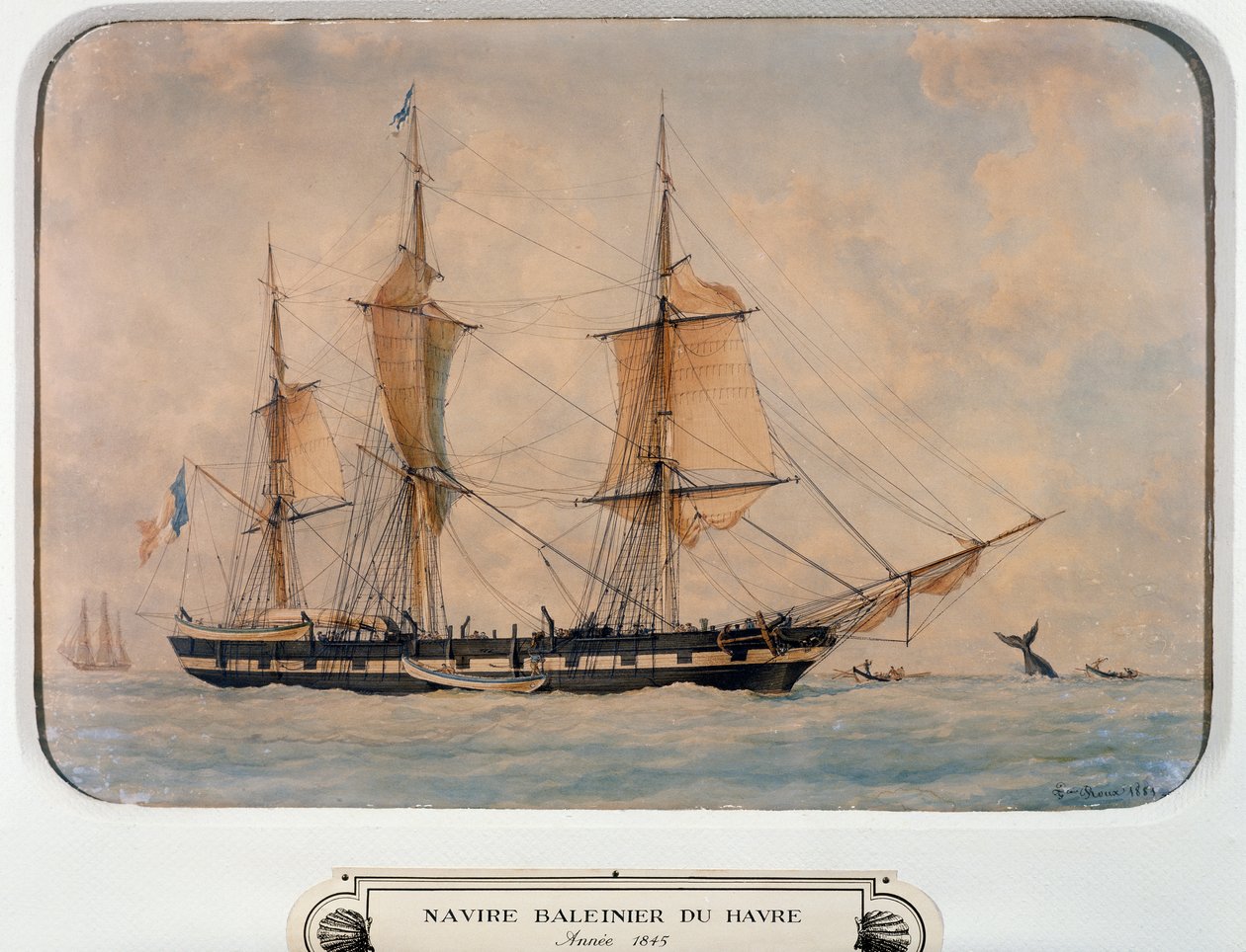 Havre